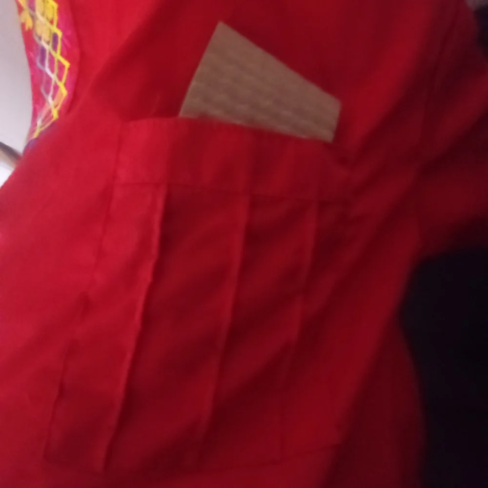Red Dog Coat with Embroidered Design ( Box ED )